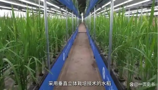 9c16fdfaaf51f3de22ccbdb27ae82c113b2979fb.jpg 9c16fdfaaf51f3de22ccbdb27ae82c113b2979fb.jpg