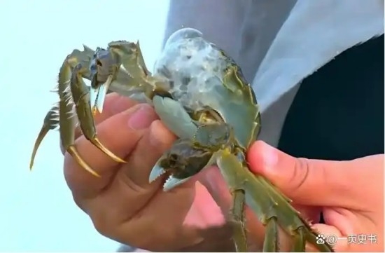 d000baa1cd11728be688e5bc25fa1fc0c2fd2c98.jpg d000baa1cd11728be688e5bc25fa1fc0c2fd2c98.jpg