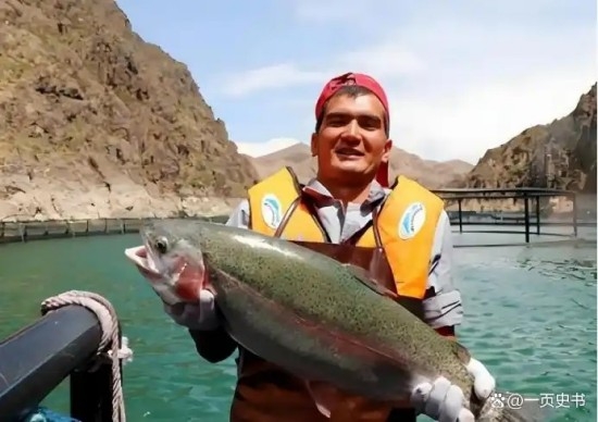 4610b912c8fcc3cedd631f897f430a86d53f20fa.jpg 4610b912c8fcc3cedd631f897f430a86d53f20fa.jpg